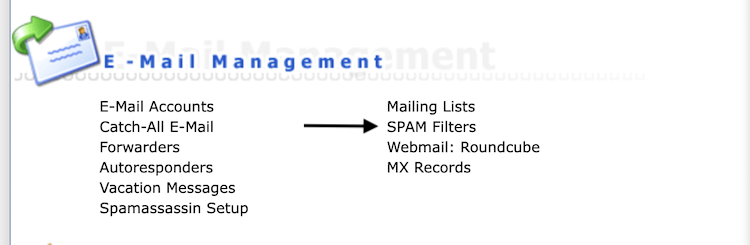 direct admin e-mail management SPAM filters